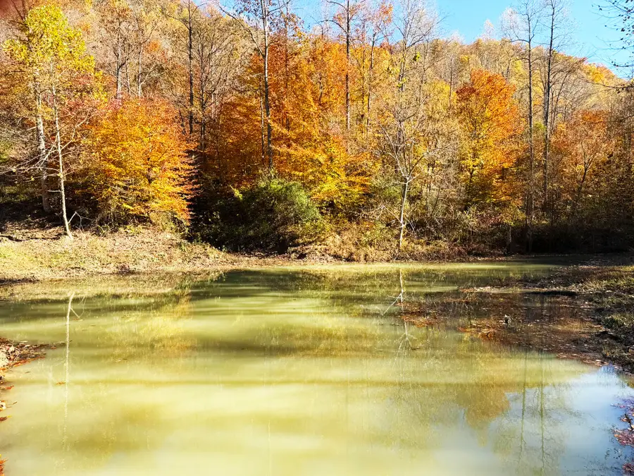 9997 Little Doe Creek Road, Irvine, KY 40336 - Image #3