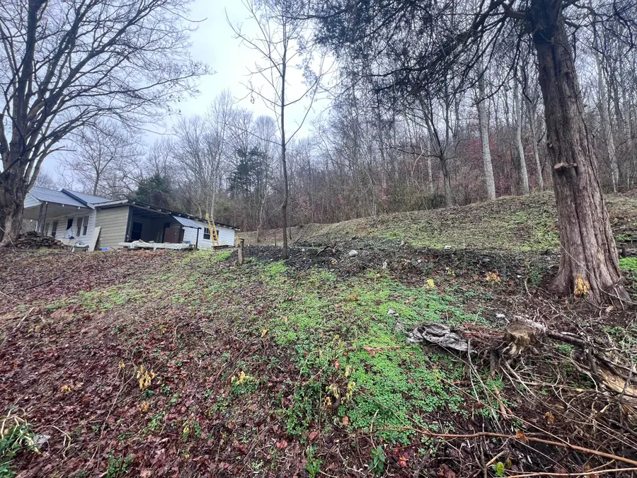 51 Houston Broughton Road, Flat Lick, KY 40935 - Image #3