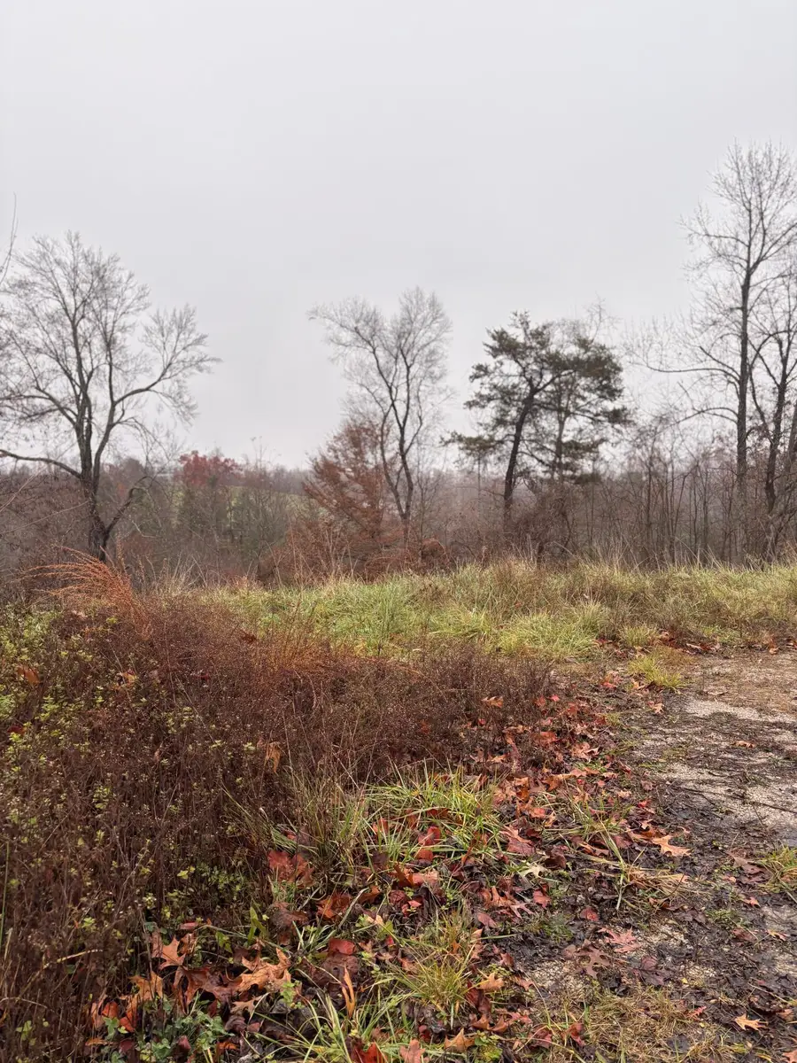 64 Becky Jane Road, Frenchburg, KY 40322 - Image #2