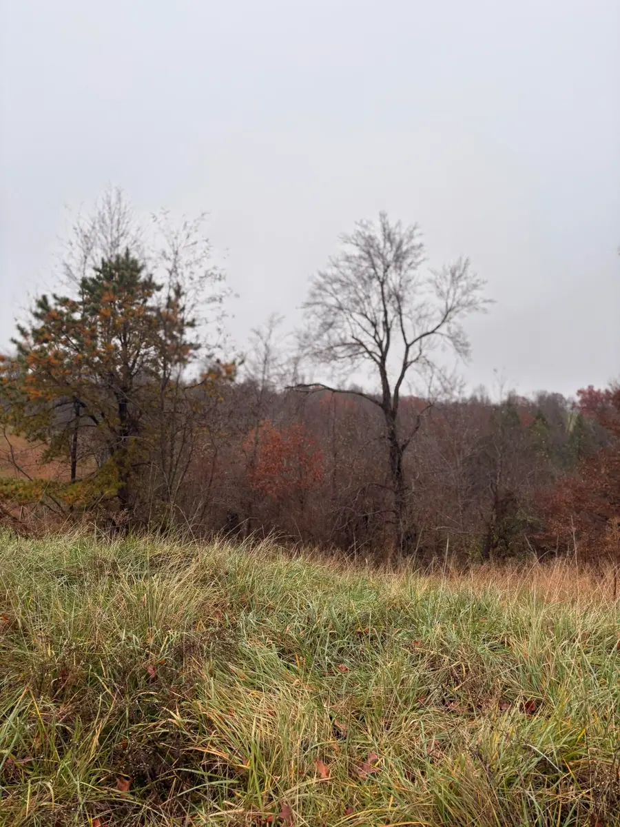 64 Becky Jane Road, Frenchburg, KY 40322 - Image #3