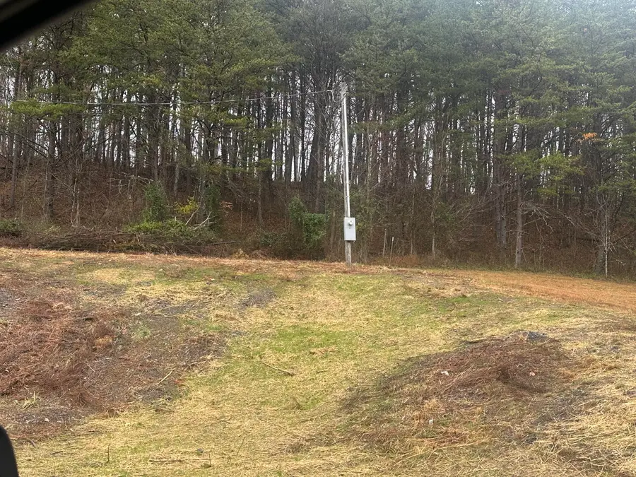 293   Lot 3 Freeman Branch Road #Lot 3, East Bernstadt, KY 40729 - Image #2