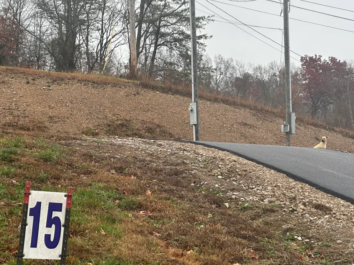 567  Lot 15 Freeman Branch Road #Lot 15, East Bernstadt, KY 40729 - #1