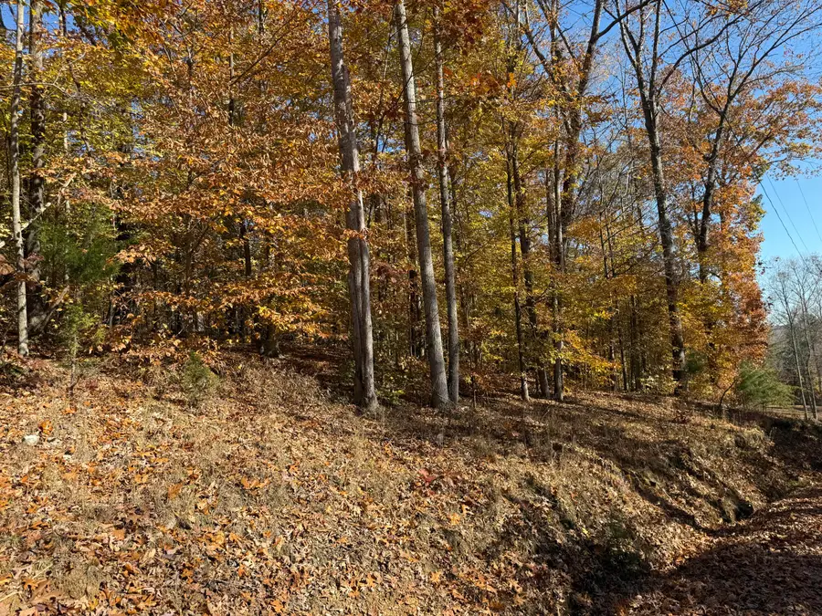 LOTS 194 A&B and 195 A&B Cherokee Village, Nancy, KY 42544 - Image #3