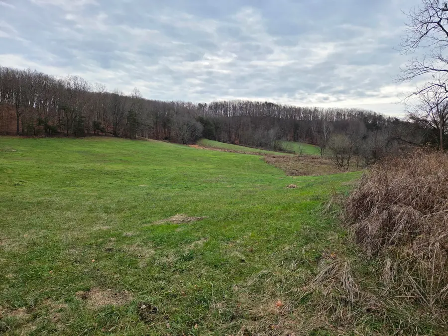 1655 Peeled Oak Road, Owingsville, KY 40360 - Image #3