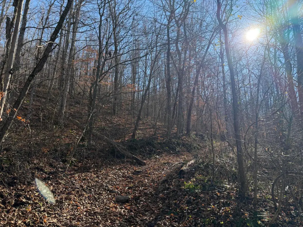 198 Dan Dishman Road, Monticello, KY 42633 - Image #1