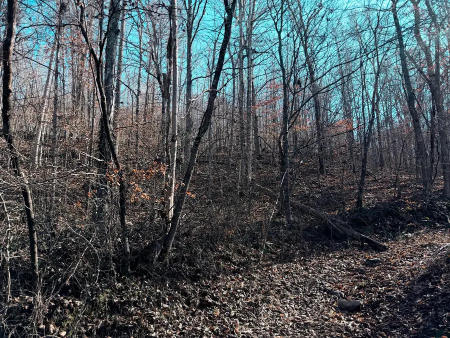 198 Dan Dishman Road, Monticello, KY 42633 - Image #2