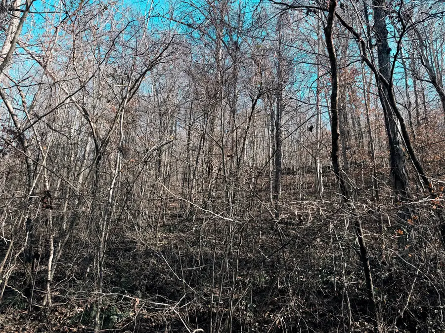 198 Dan Dishman Road, Monticello, KY 42633 - Image #3