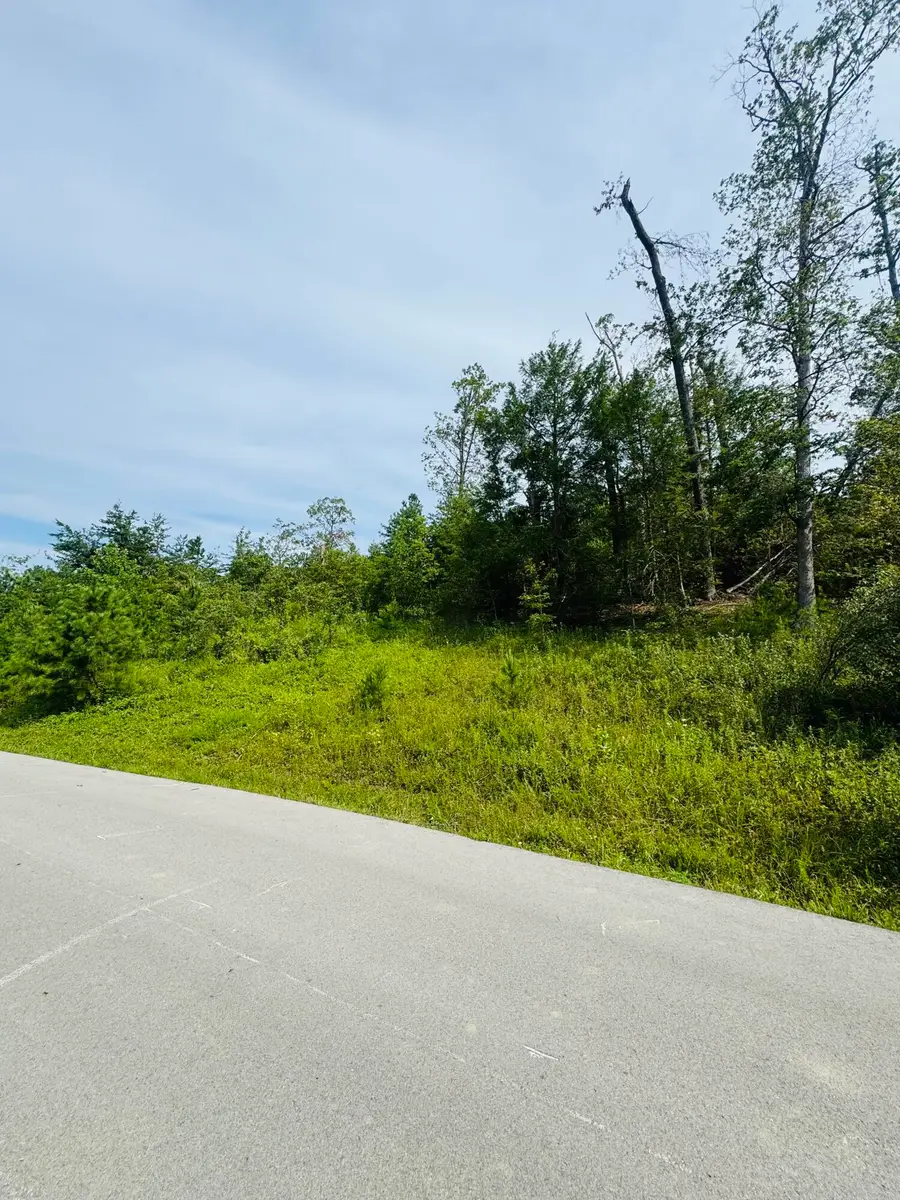 001 Afton Lane, Keavy, KY 40737 - Image #3