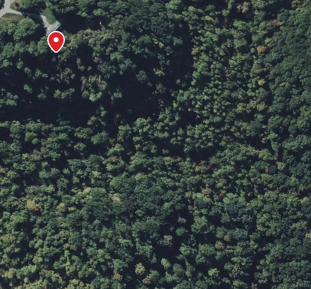 1290 Hwy 3249, Stanford, KY 40484 - #1