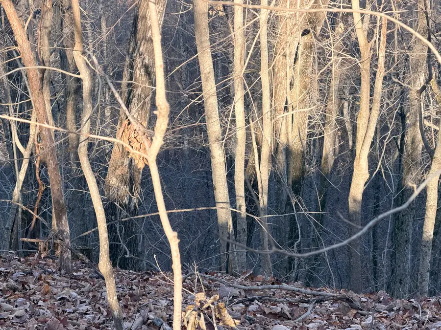 1290 Hwy 3249, Stanford, KY 40484 - #3