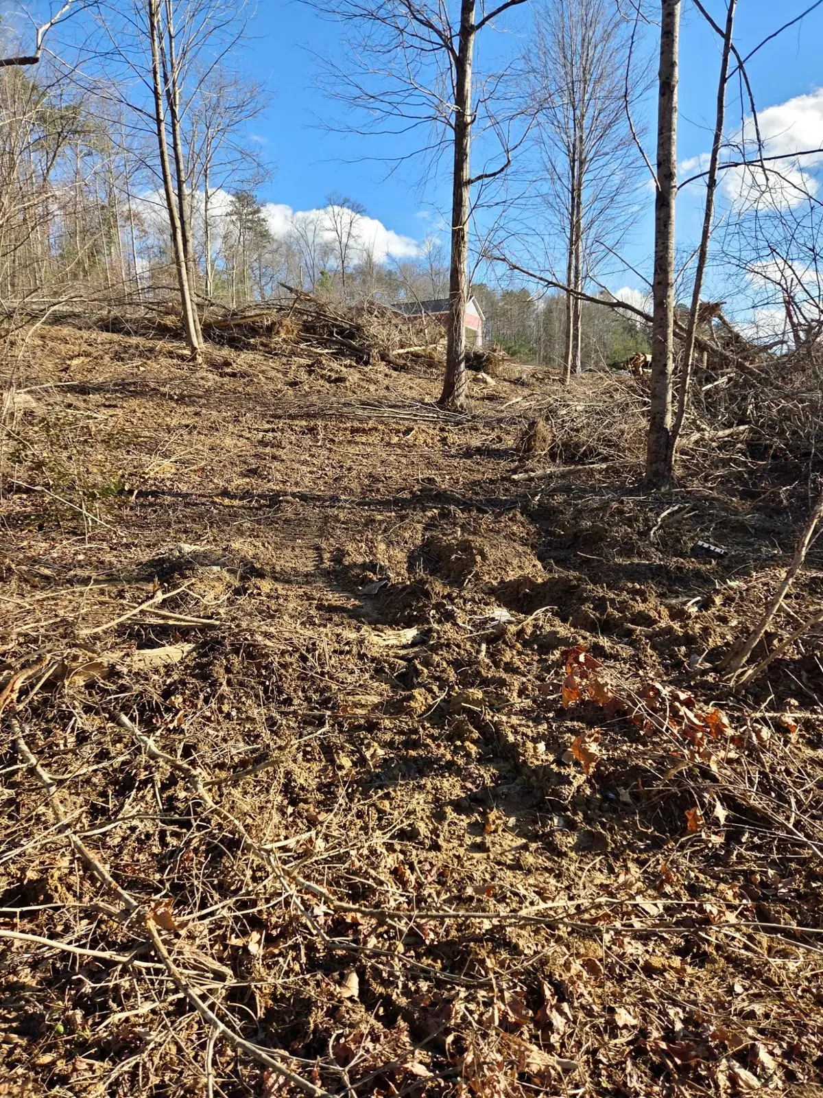 9999 Dorothy Bailey, London, KY 40744 - Image #1