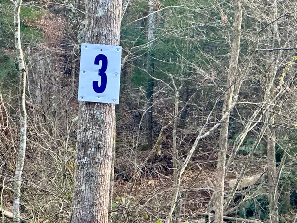 Lot 3 Radford Road, East Bernstadt, KY 40729