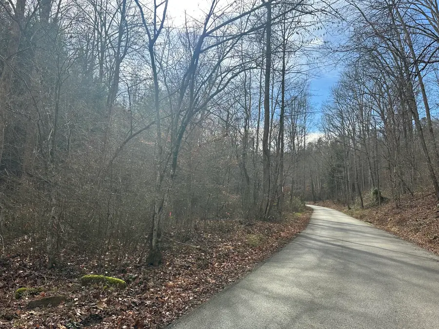 Lot 2 Radford Road, East Bernstadt, KY 40729 - Image #3
