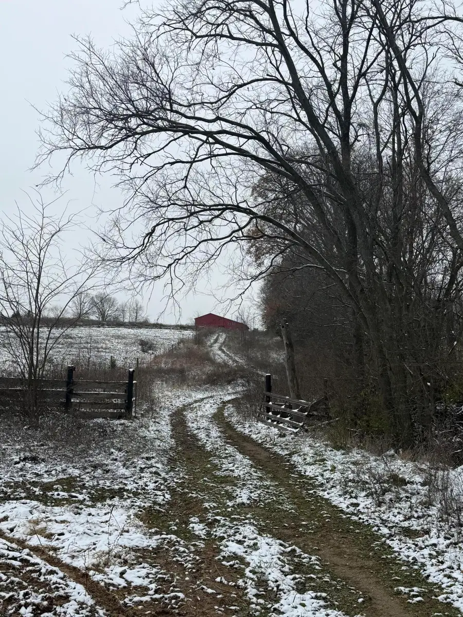 1013-B Salem Pike, Cynthiana, KY 41031 - Image #3