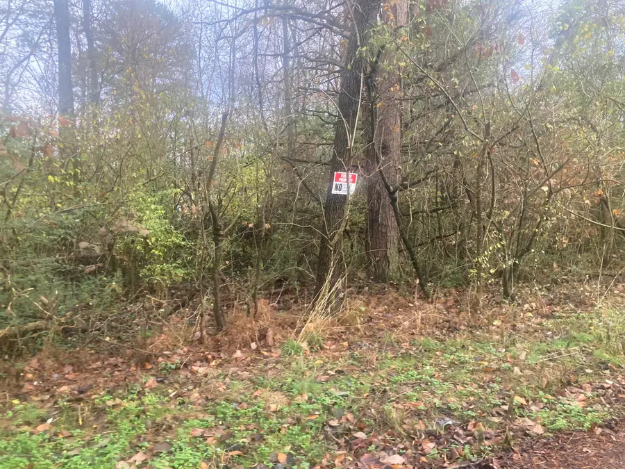 1056 Palisades Court, Burnside, KY 42519 - Image #2