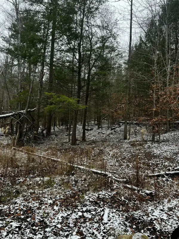 Lot 114 Paradise Mountain, Campton, KY 41301