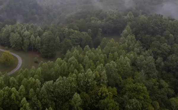 1570 Hwy 3249 #B, Stanford, KY 40484