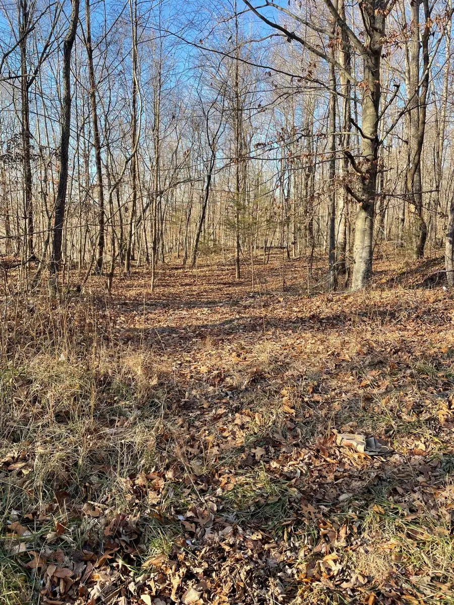 2211 Dixie Bend Road, Burnside, KY 42519 - Image #2