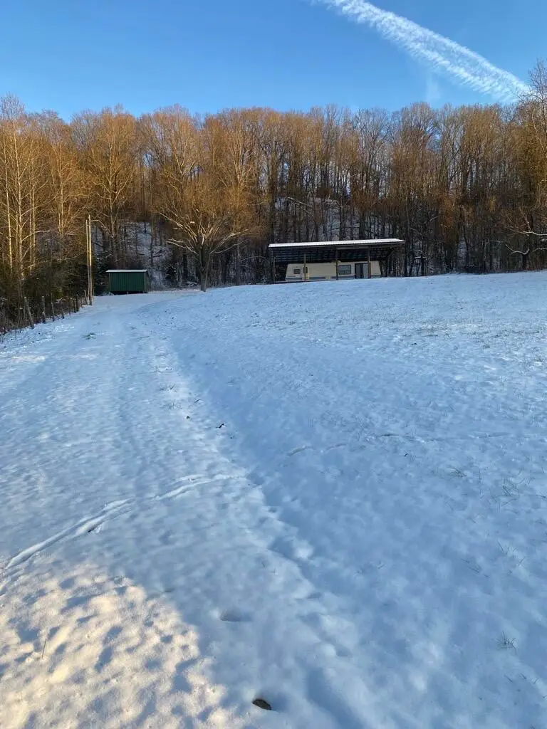 1467 Salt Lick Road, Vanceburg, KY 41179 - Image #3