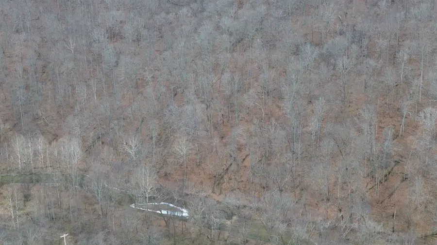 175A Improvement Branch, Jackson, KY 41339 - Image #2