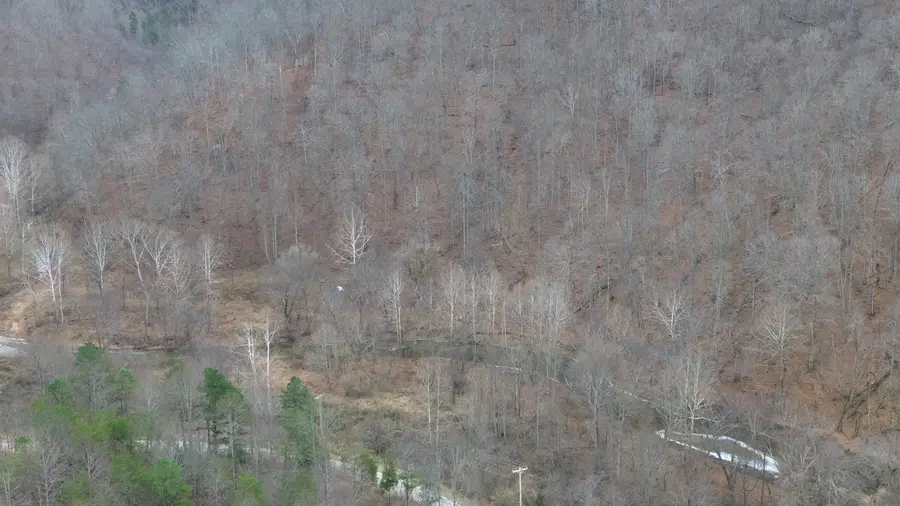 175A Improvement Branch, Jackson, KY 41339 - Image #3