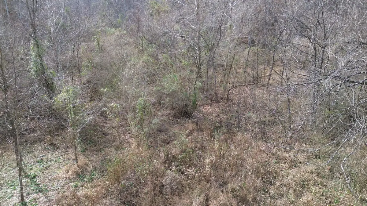 237A Meatscaffold Rd, Jackson, KY 41339 - Image #1