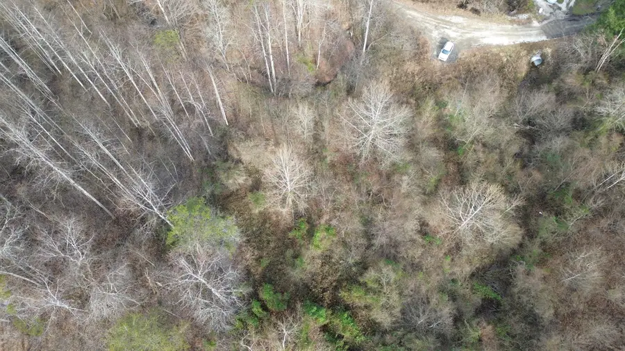 237A Meatscaffold Rd, Jackson, KY 41339 - Image #2