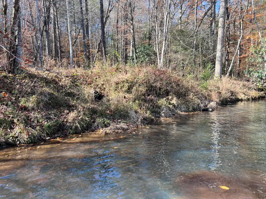 000 Parrot Lk Road, Pineville, KY 40977 - Image #2