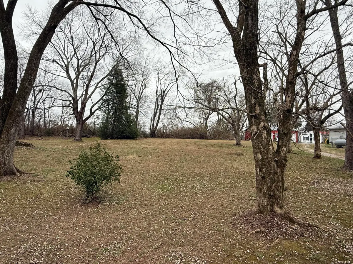 Lot 118-119  Oak Avenue, Somerset, KY 42501 - #1
