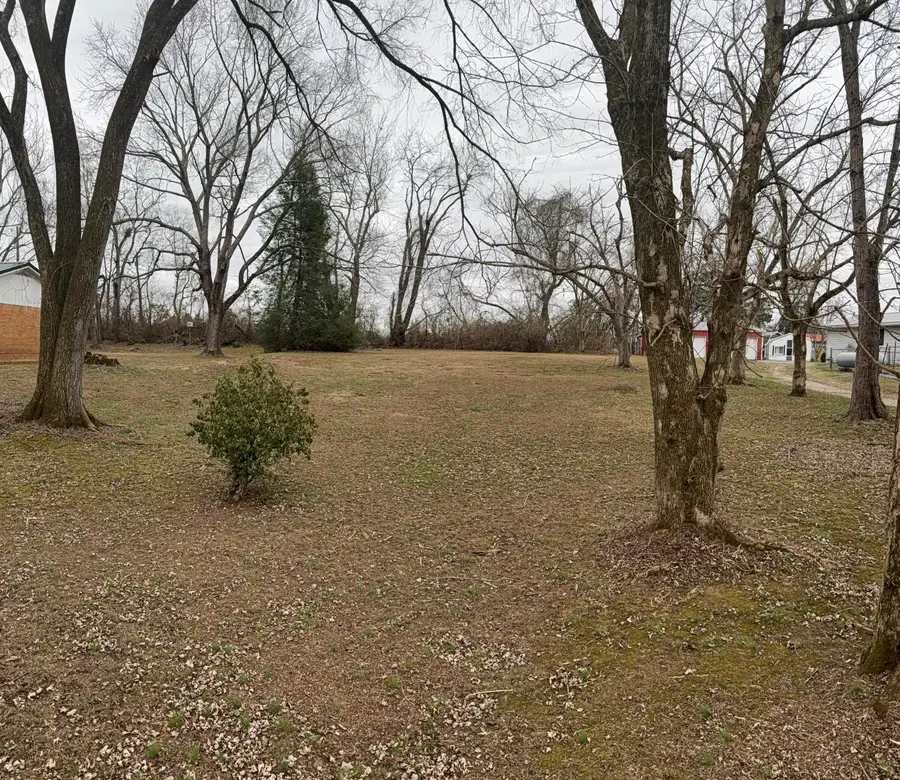 Lot 118-119  Oak Avenue, Somerset, KY 42501 - #3