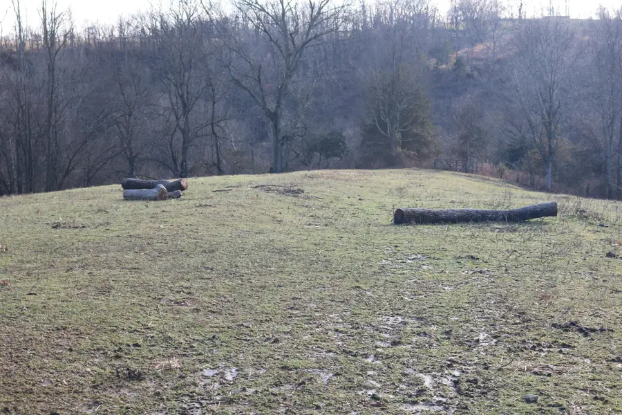 1-X Dixie Highway, Carlisle, KY 40311 - #3