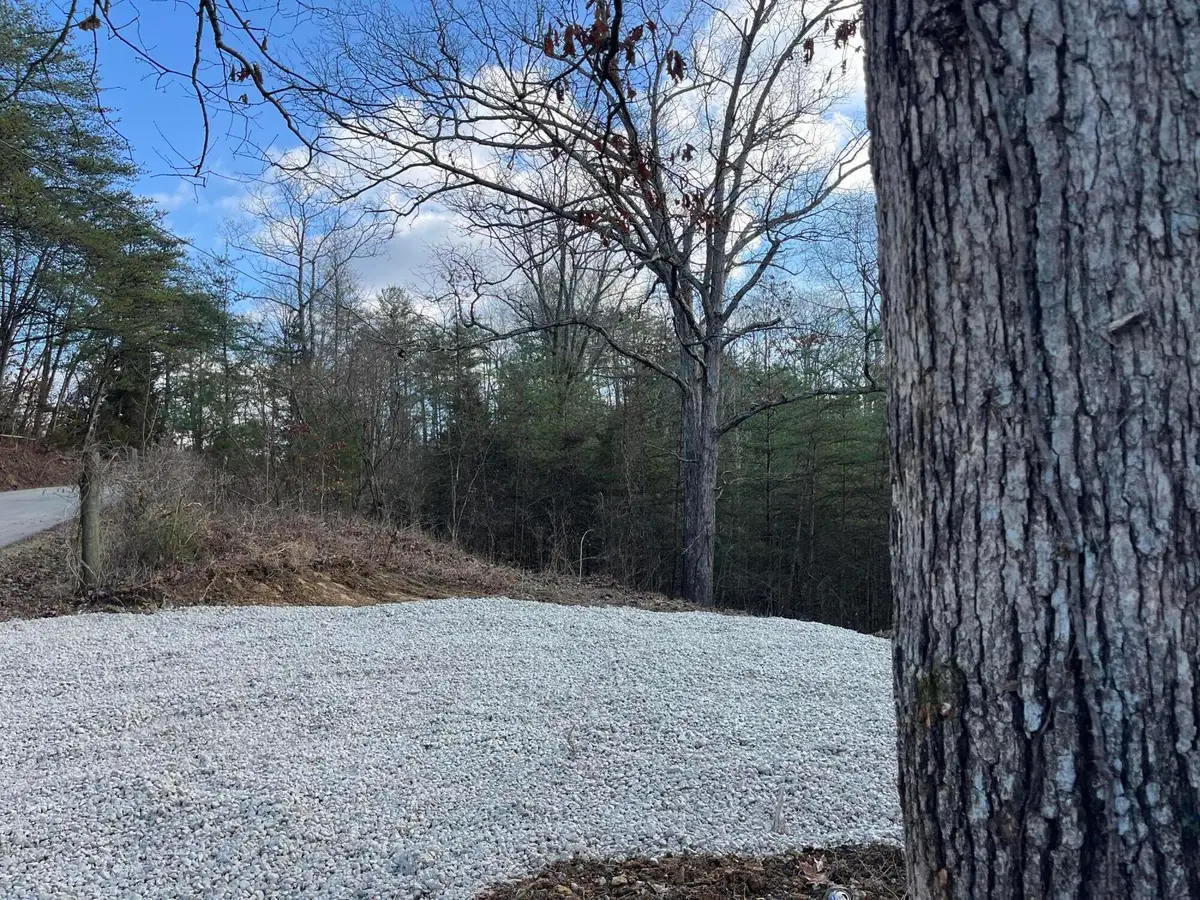 Lot 29 Lower Hollertop Road, Campton, KY 41301 - Image #1