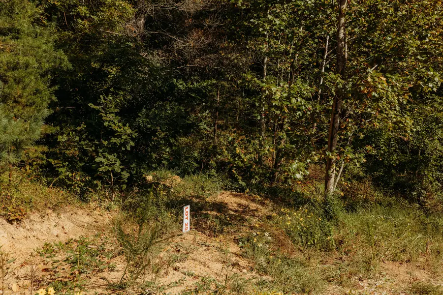 Lot 29 Lower Hollertop Road, Campton, KY 41301 - Image #2