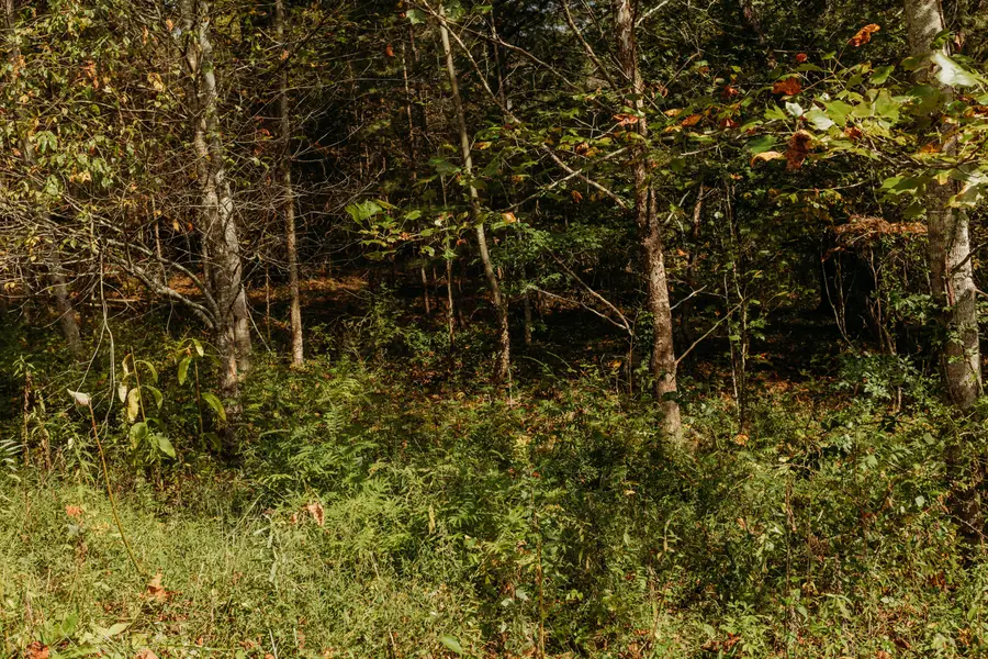 Lot 29 Lower Hollertop Road, Campton, KY 41301 - Image #3