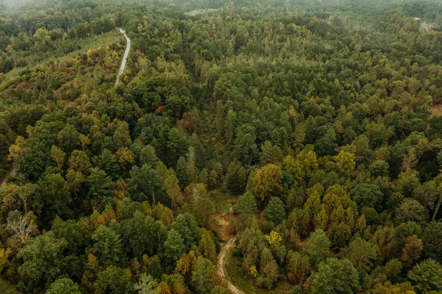 Lot 34 Lower Hollertop Road, Campton, KY 41301 - Image #2