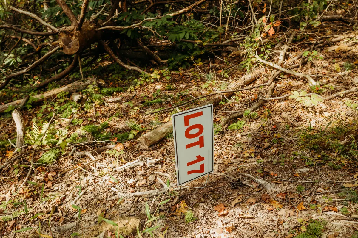 Lot 17 Hollertop Road, Campton, KY 41301 - Image #1