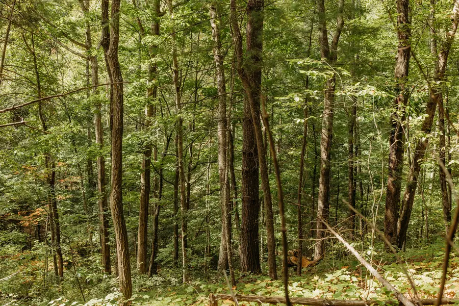 Lot 17 Hollertop Road, Campton, KY 41301 - Image #2