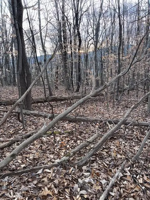 1.97 King Mountain Road #1.97 Acre, Williamsburg, KY 40769 - Image #3