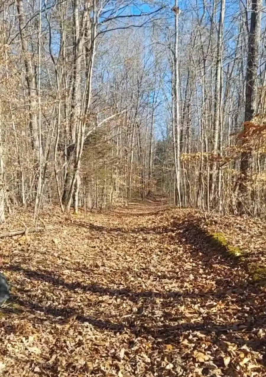 9999 Timberline Lane, Irvine, KY 40336 - Image #2