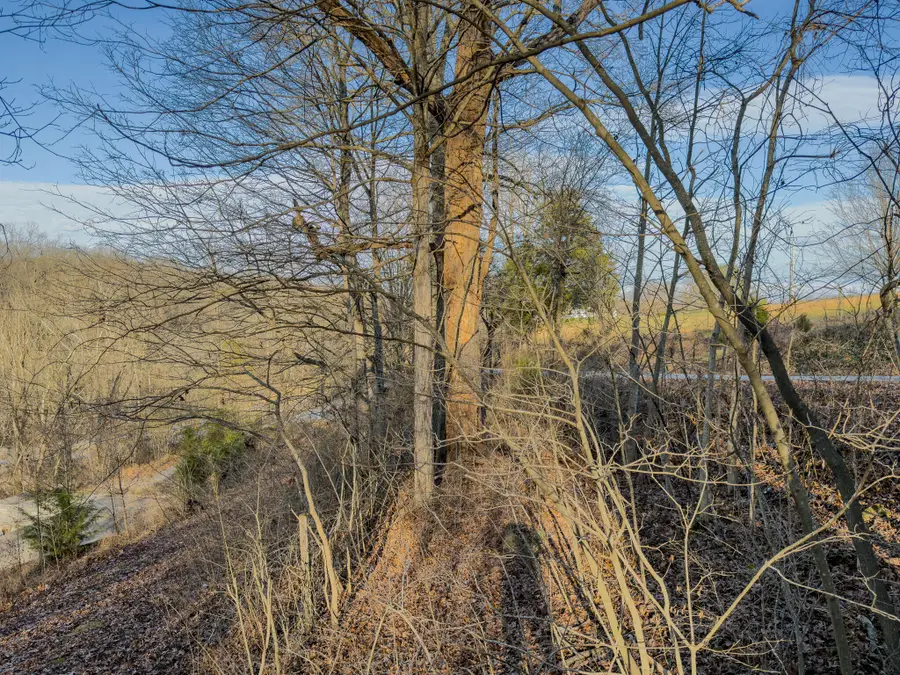 1440 Jones Knob Road, Somerset, KY 42501 - Image #3