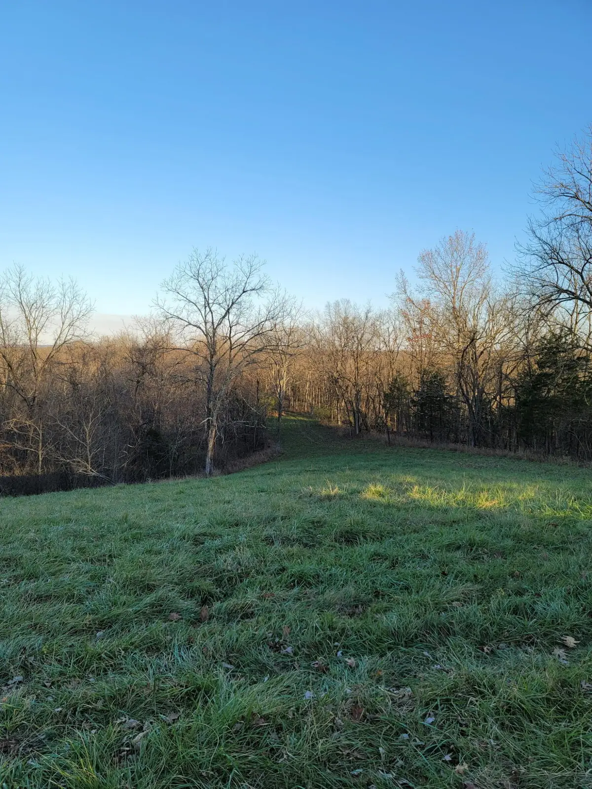 300 Goebel White Road, Cynthiana, KY 41031 - Image #1