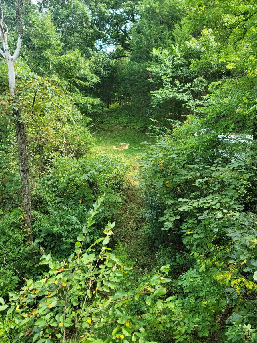 300 Goebel White Road, Cynthiana, KY 41031 - Image #3