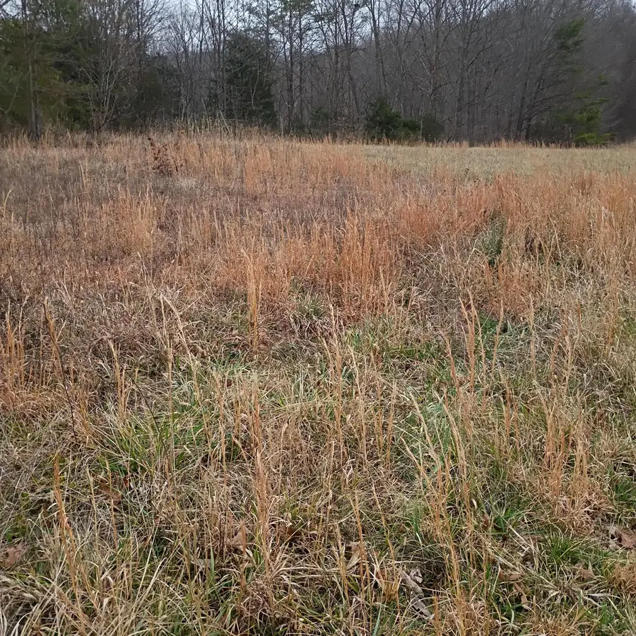 497 Old Bethel Road, Monticello, KY 42633 - Image #3