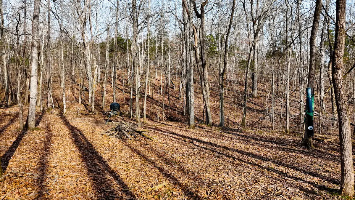 0000 Baxter Ridge Road, Lawrenceburg, KY 40342 - Image #1