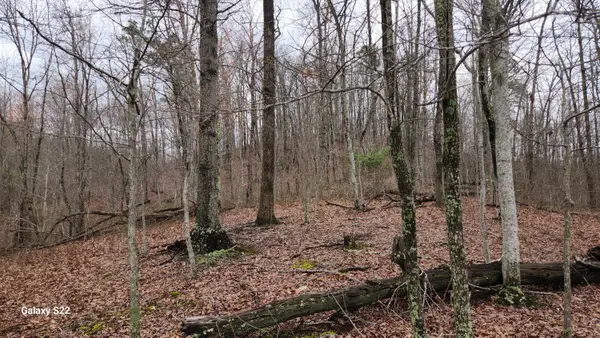 3504 East Fork Road, Means, KY 40346