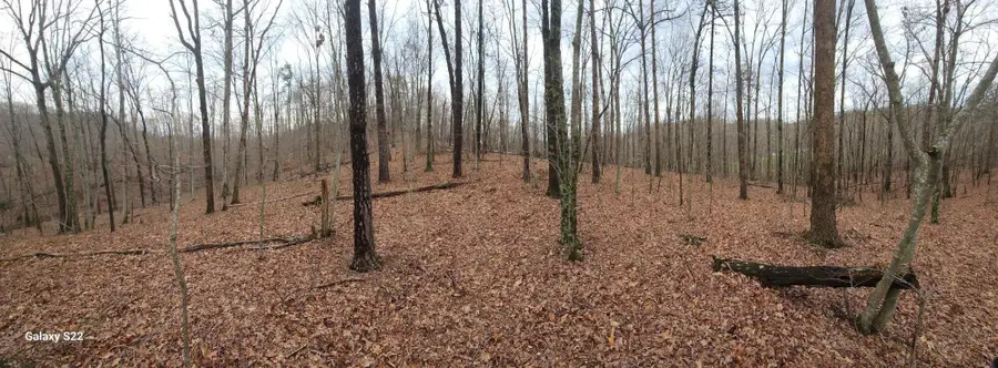 3504 East Fork Road, Means, KY 40346 - Image #2