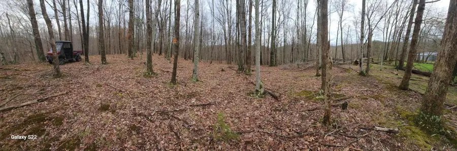 3504 East Fork Road, Means, KY 40346 - Image #3