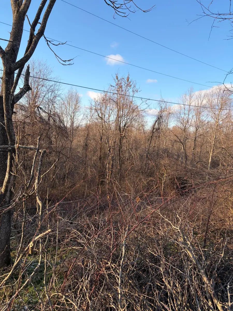 9998 Hurst School Road, McKee, KY 40447 - Image #3