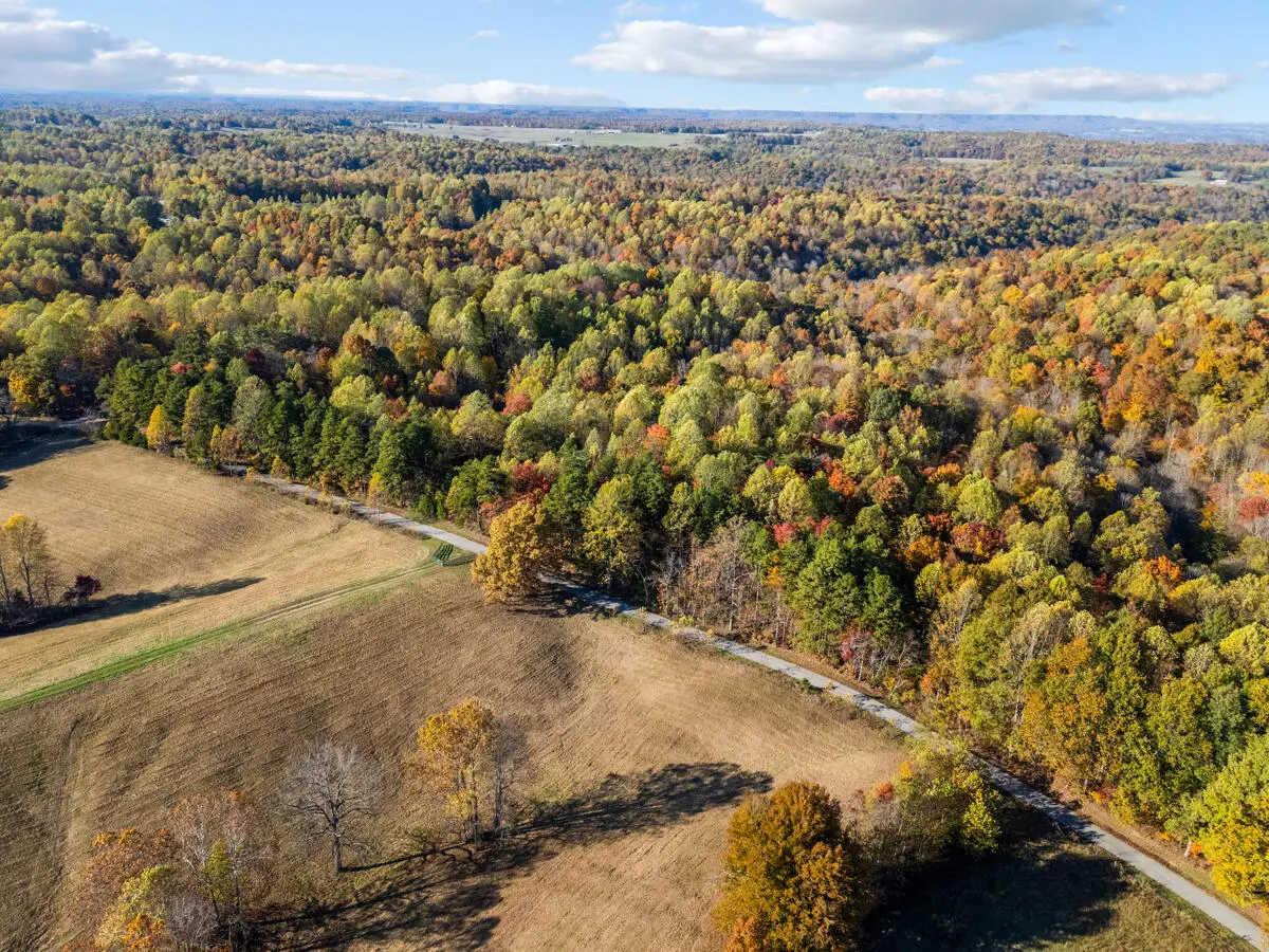 2143 Mt Gilboa Road, Campbellsville, KY 42718 - Image #1