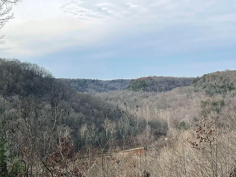 Lot 145 Stillwater, Russell Springs, KY 42642 - #1